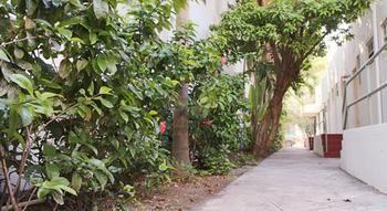 Hotel Casa Coloretta Miami Beach Eksteriør bilde